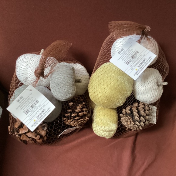 Fall 2023 Packaged Pumpkins/Gourds/10 pc New With Tag - Picture 7 of 8